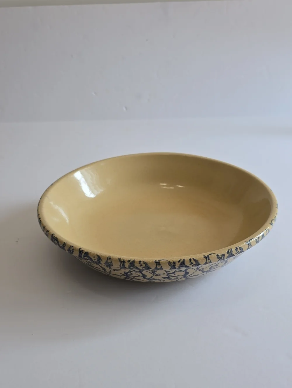 Vintage Robinson Ransbottom Pottery RRP Roseville OH Blue Sponge Pasta Bowl 12